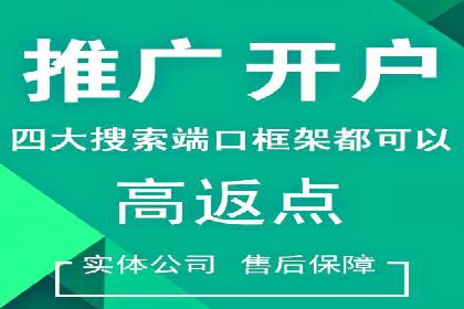 百度竞价入门必看：实操技巧与成功案例